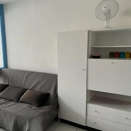 Apartment Avec Parking Et Proche Plage, Animaux Acceptes - Fr-1-749-26 Agde